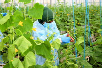 Как поддерживают аграриев в Жамбылской области, рассказал глава региона