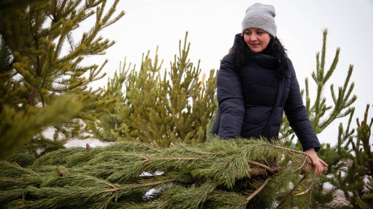"Наш Костанай"