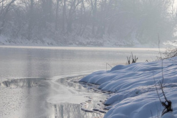 Подавал сигнал "SOS": тело без вести пропавшего алматинца нашли в реке
