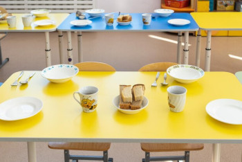 Фотография к новости: В Акмолинской области не обеспечили бесплатным питанием более 800 детей с  инвалидностью