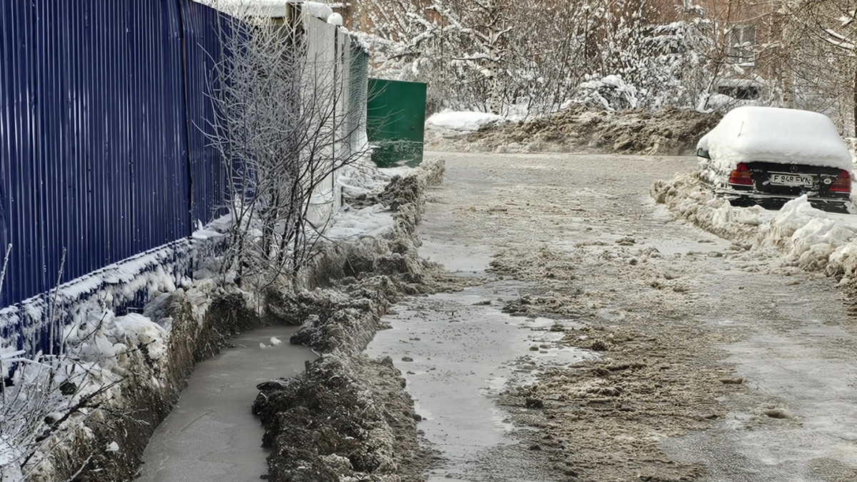 Инфоцентр ВКО