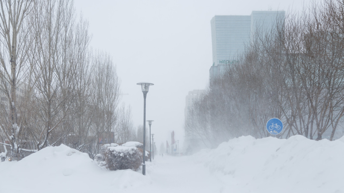 baigenews.kz/Артём Чурсинов