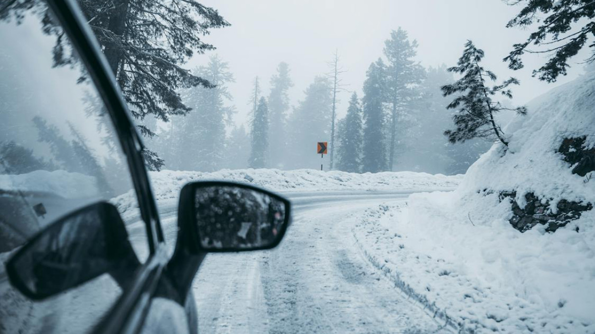 pexels.com / иллюстративное