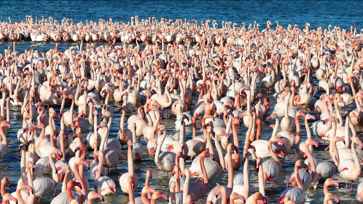 instagram.com/azamat_sarsenbayev