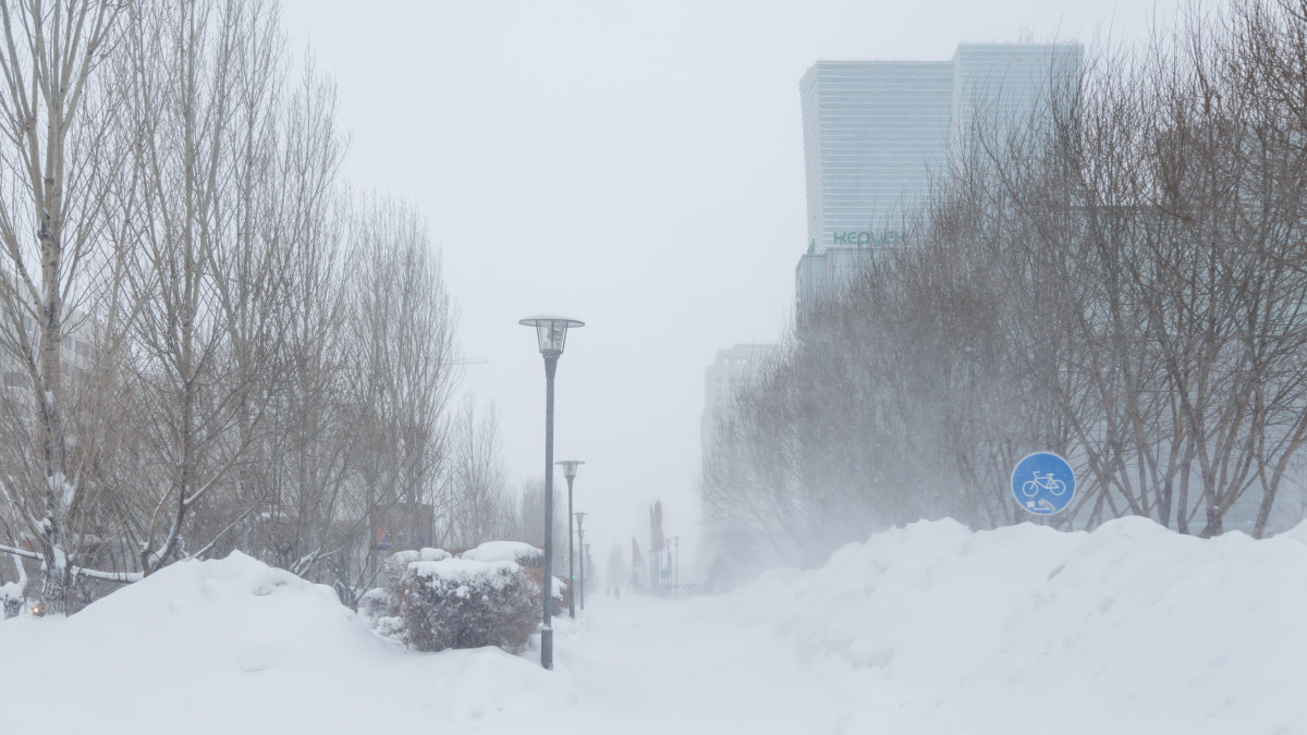 baigenews.kz/Артём Чурсинов