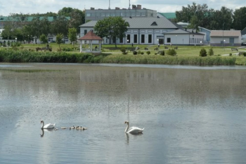 Фотография к новости: "Много сел испытывают проблемы с водой": почему в Казахстане исчезают водные объекты