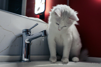 Фотография к новости: Часть жителей Темиртау осталась без воды