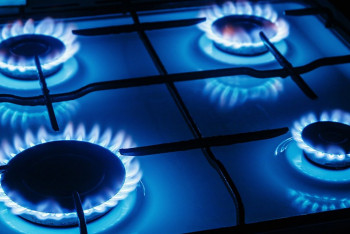 Фотография к новости: Вопрос безопасности бытового потребления газа подняла депутат Мажилиса