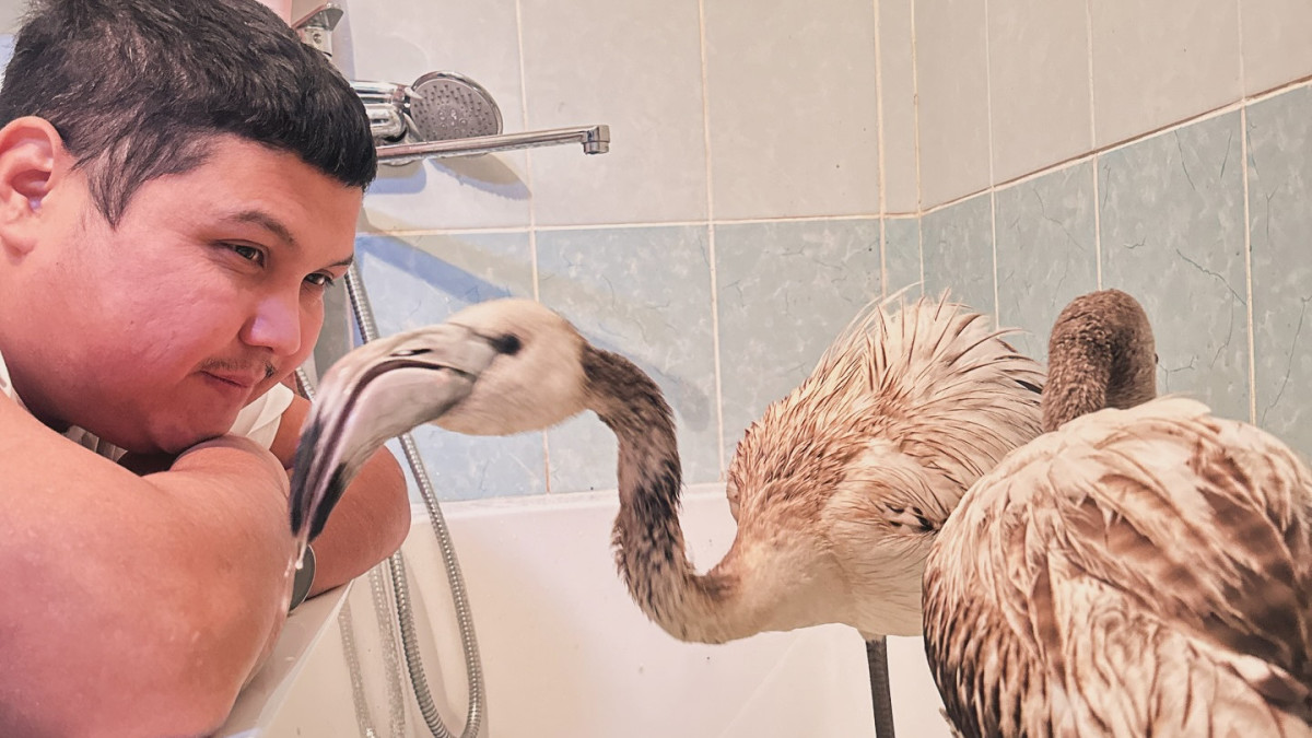 instagram.com/azamat_sarsenbayev