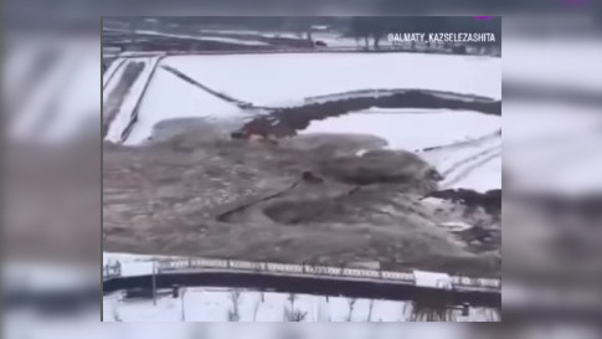 скриншот с видео