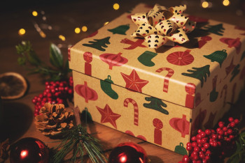 Фотография к новости: Таможня Германии предупредила о возможной конфискации рождественских подарков из России