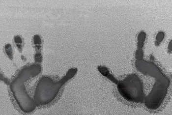 Фотография к новости: Информацию о гробах c мёртвыми телами на трассе в Жамбылской области прокомментировали в полиции