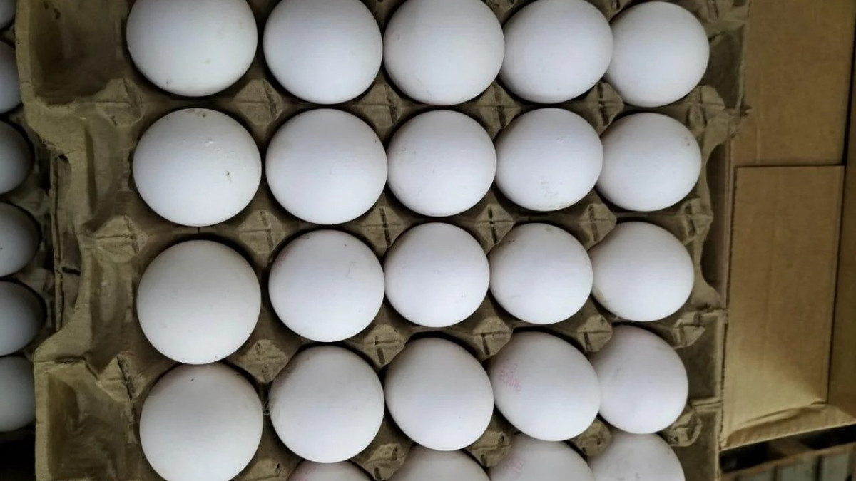 В России могут принять закон о регулировании цен на продукты, включая яйца