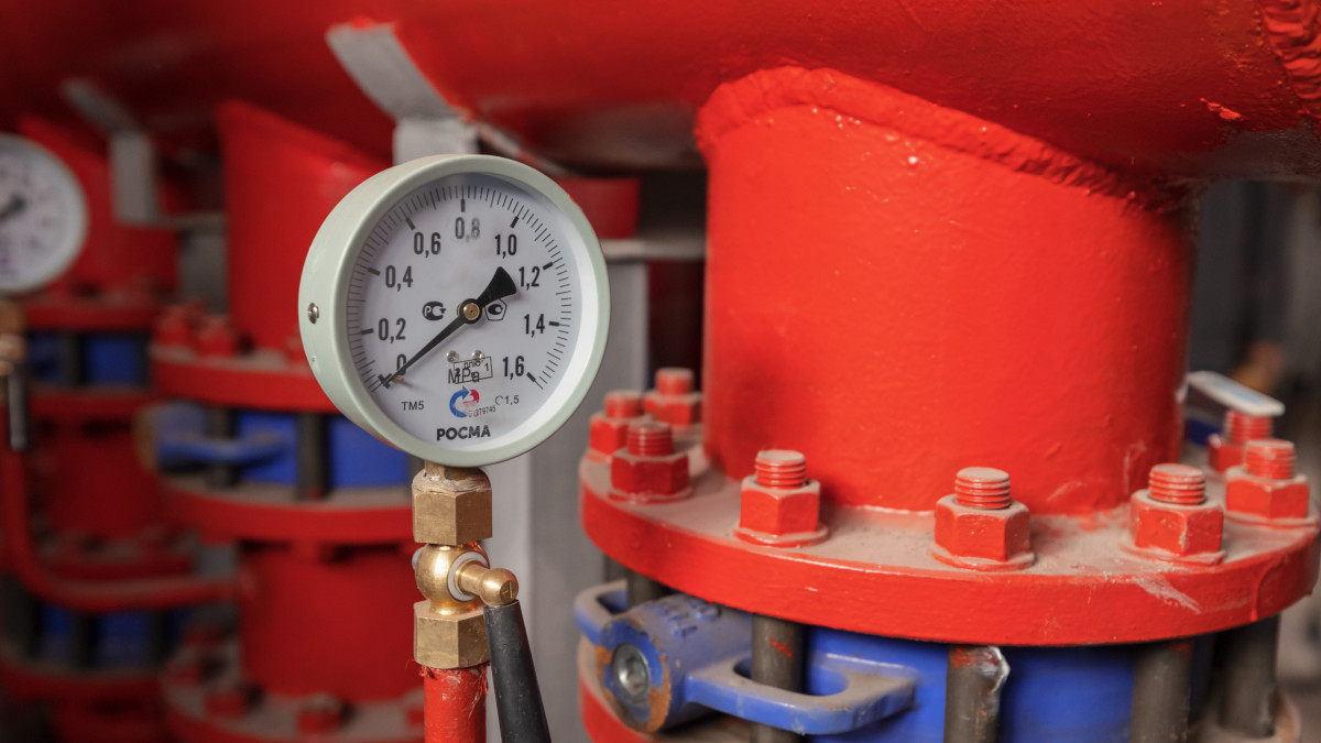 baigenews.kz/Артём Чурсинов