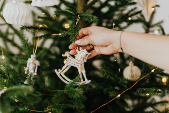 Фотография к новости: В акимате Павлодара пояснили, почему решили потратиться на новую ёлку