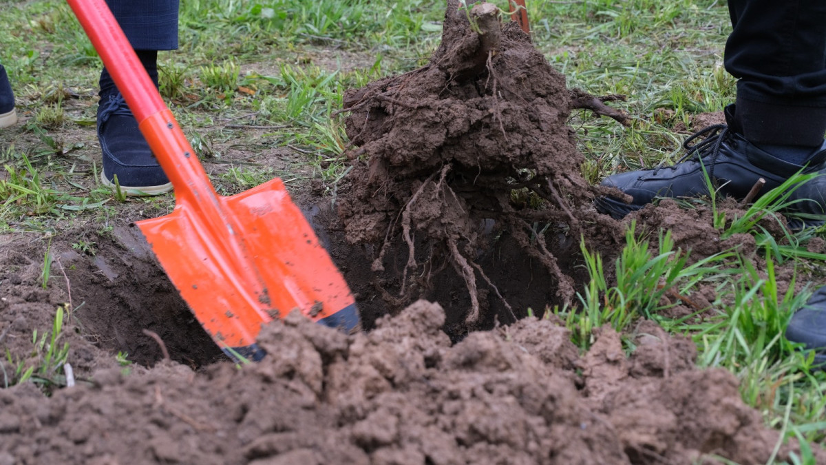 Пресс-служба акимата Алматы