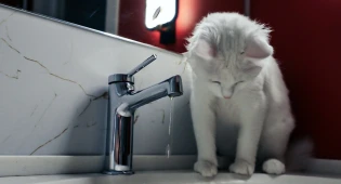 Более 18 часов жители Косшы сидят без воды