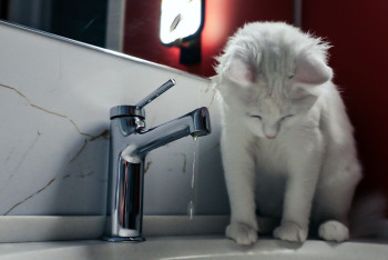 Более 18 часов жители Косшы сидят без воды