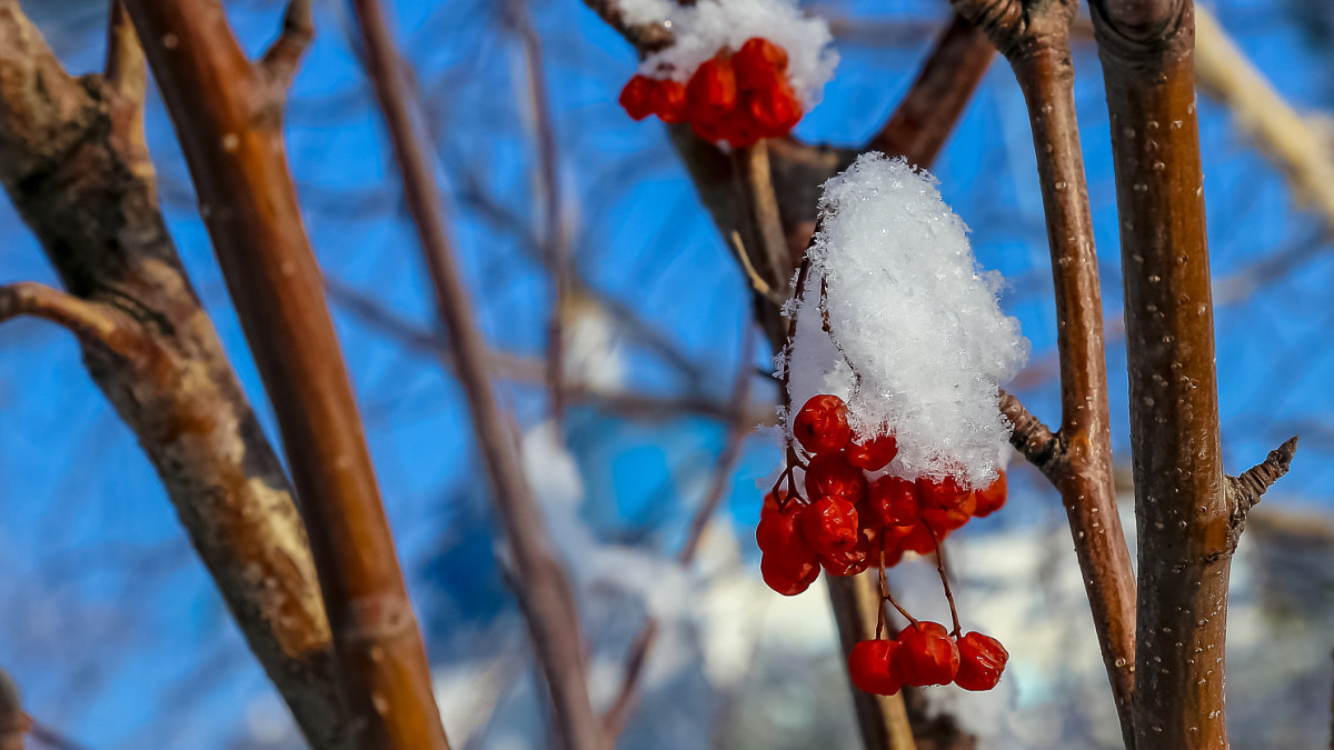 АО "Казконтент"