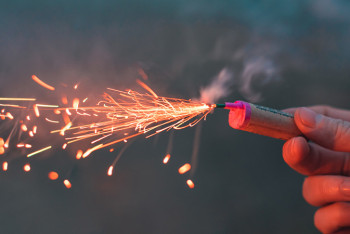 Фотография к новости: Как безопасно встретить Новый год – рекомендации службы ЧС