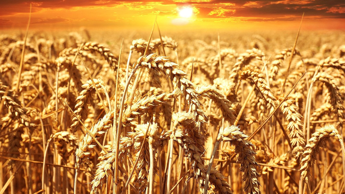 pixabay / иллюстративное фото