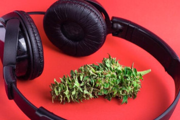 Фотография к новости: Рэпера и продюсера из Астаны задержали с наркотиками в Павлодаре