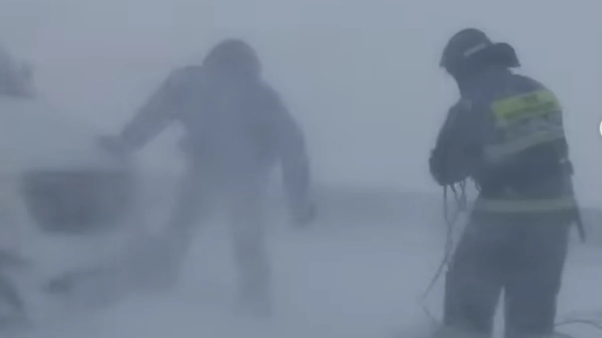 instagram.com/qostanai_tjd