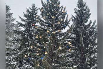 Фотография к новости: Сельчане раскритиковали установленную акиматом ёлку и нарядили другое дерево в ВКО