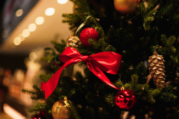 Фотография к новости: Эксперты рассказали, в чём встречать Новый год чтобы привлечь удачу