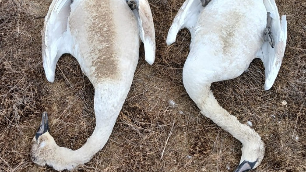 Устюртский государственный природный заповедник