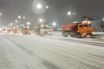 Фотография к новости: 60 тысяч грузовиков снега вывезли из Астаны с начала зимы