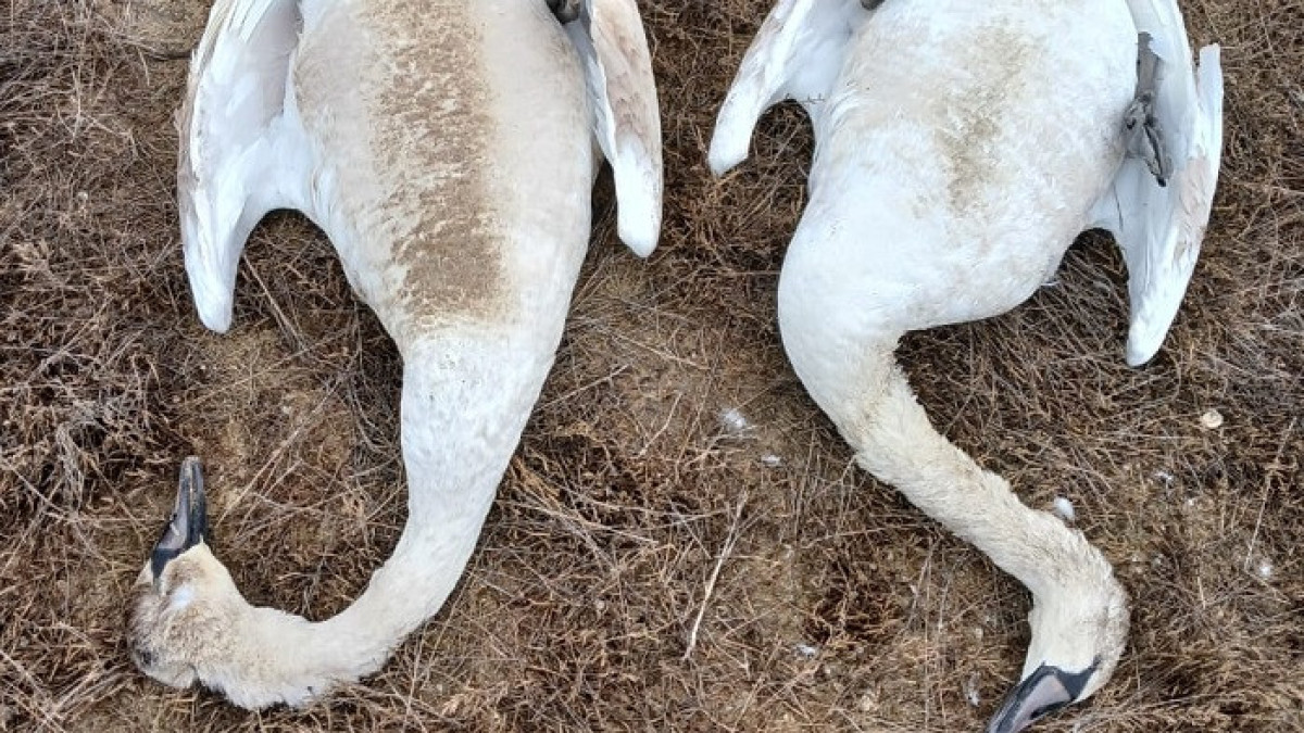 Устюртский государственный природный заповедник