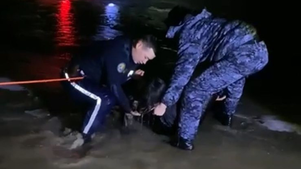 скрин видео