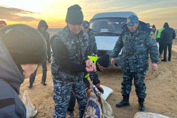 Фотография к новости: Названа предварительная причина массовой гибели карасей в Атырауской области