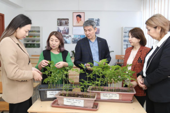 Фотография к новости: Учёные нашли способ очистить воздух в Алматы