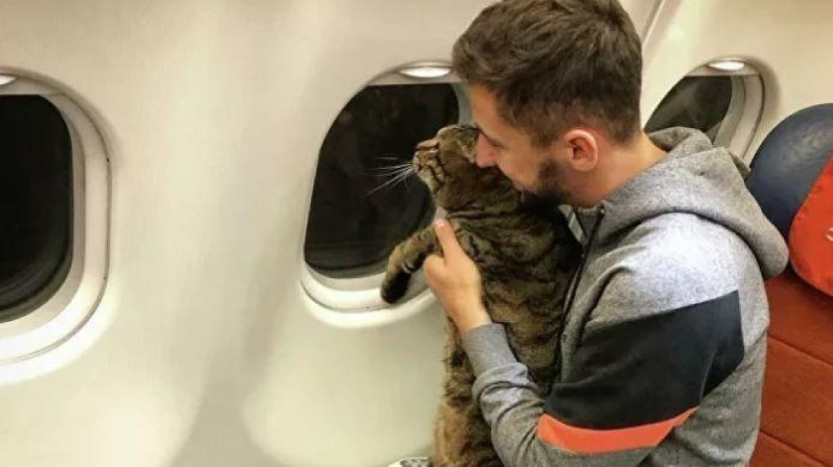 личная страница Михаила Галина в соцсети