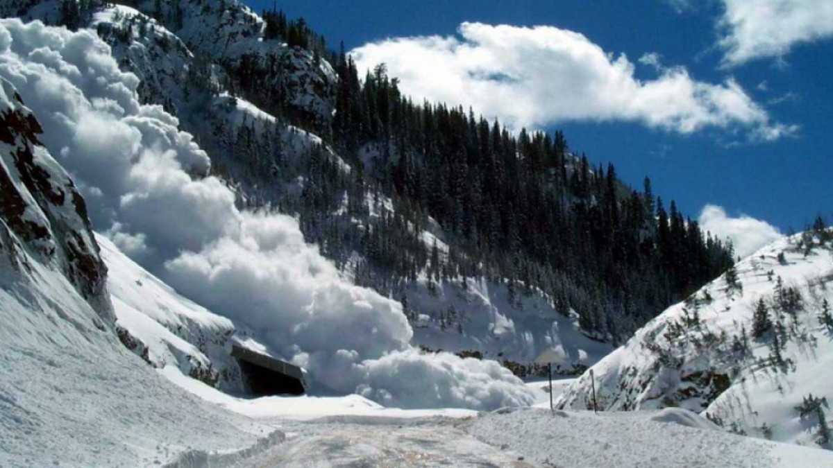 открытые источники