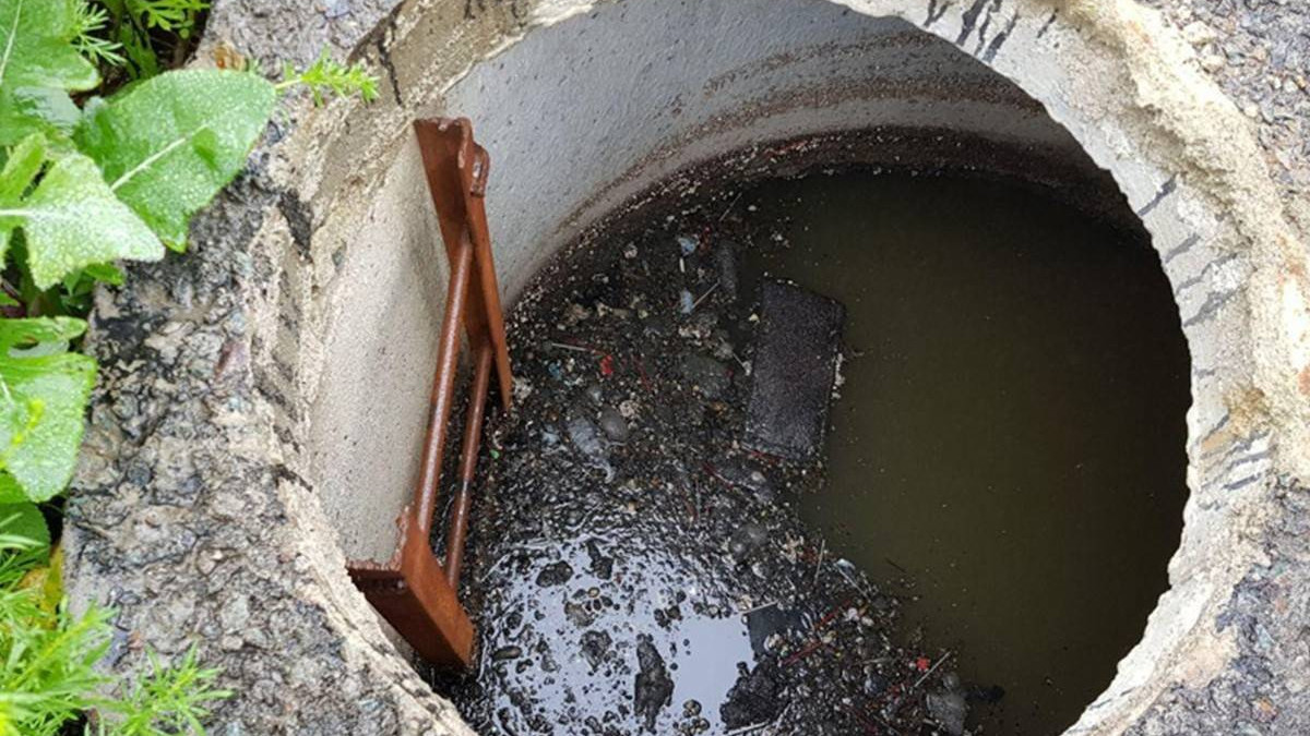 Из открытых источников