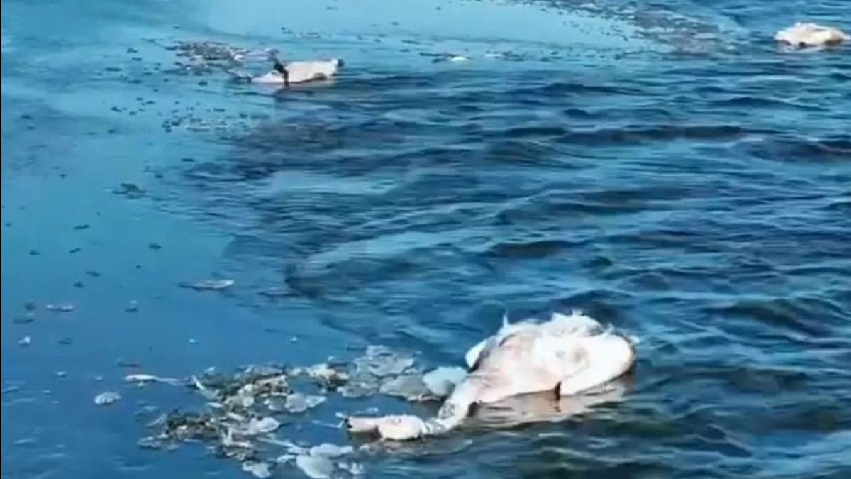 ЦОК Мангистауской области