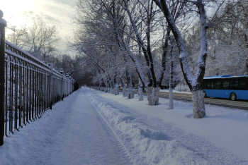Фотография к новости: Пассажиры нескольких пригородных автобусов застряли на выезде из Караганды