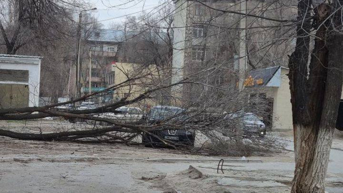 t.me/vtvs_taraz