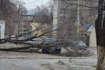 Фотография к новости: Девять человек пострадали из-за сильного ветра в Таразе
