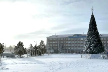 Фотография к новости: Скандал с ёлкой в Житикаре: предприниматель и акимат собираются судиться