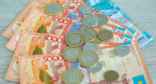 Более 333 тысяч казахстанцев получили пособия и выплаты без заявок