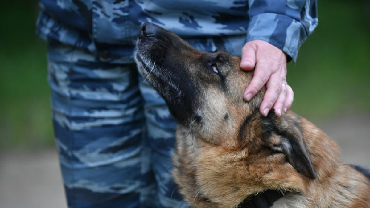 открытые источники