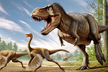 Фотография к новости: В США обнаружили останки неизвестного вида тираннозавров