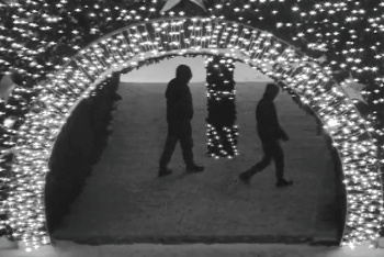 Фотография к новости: Два вандала пинали главную ёлку в Кокшетау