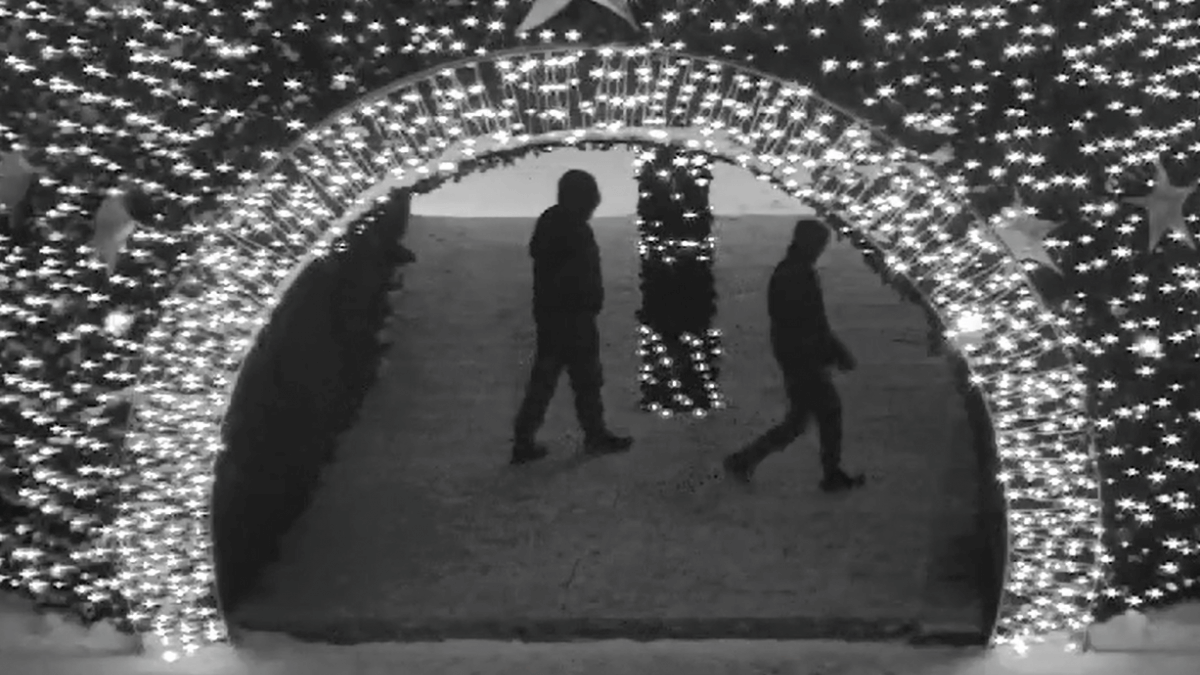 скрин видео