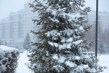 Мороз, метель и гололёд: чего ждать казахстанцам в понедельник