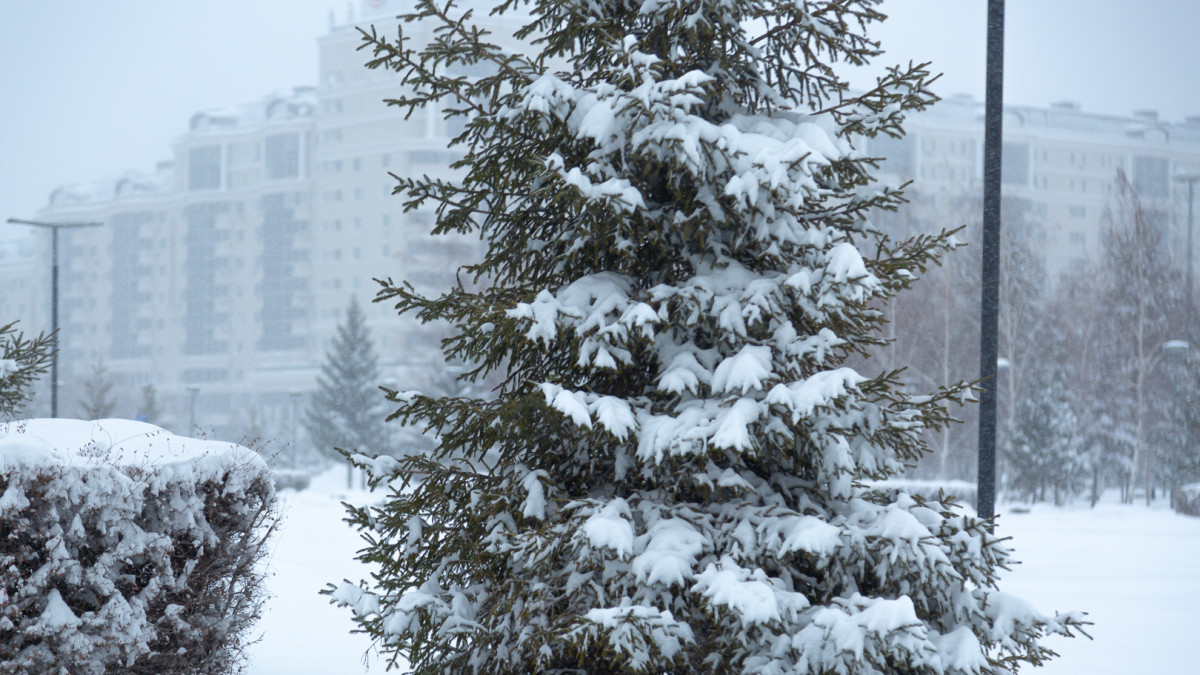 Жалгасбек Токтамысов/BaigeNews.kz